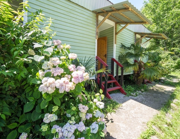 База отдыха «Золотая бухта» Пицунда