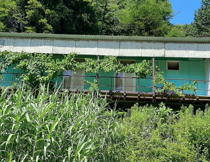 База отдыха «Золотая бухта» Пицунда