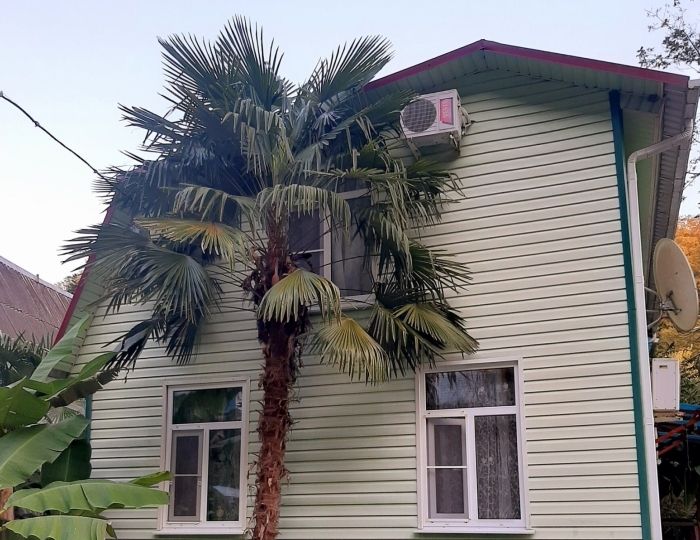 База отдыха «Золотая бухта» Пицунда