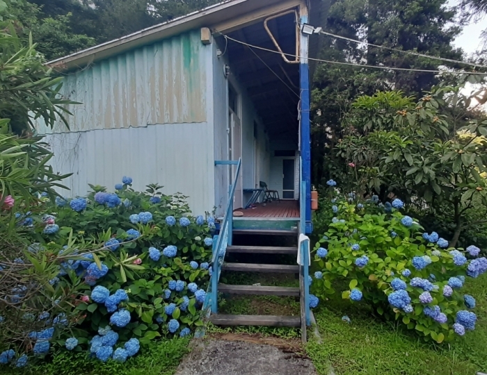 База отдыха «Золотая бухта» Пицунда